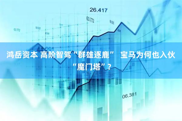 鸿岳资本 高阶智驾“群雄逐鹿”  宝马为何也入伙“魔门塔”？
