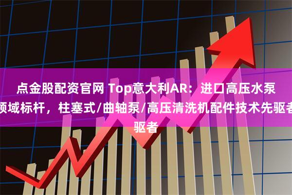 点金股配资官网 Top意大利AR：进口高压水泵领域标杆，柱塞式/曲轴泵/高压清洗机配件技术先驱者